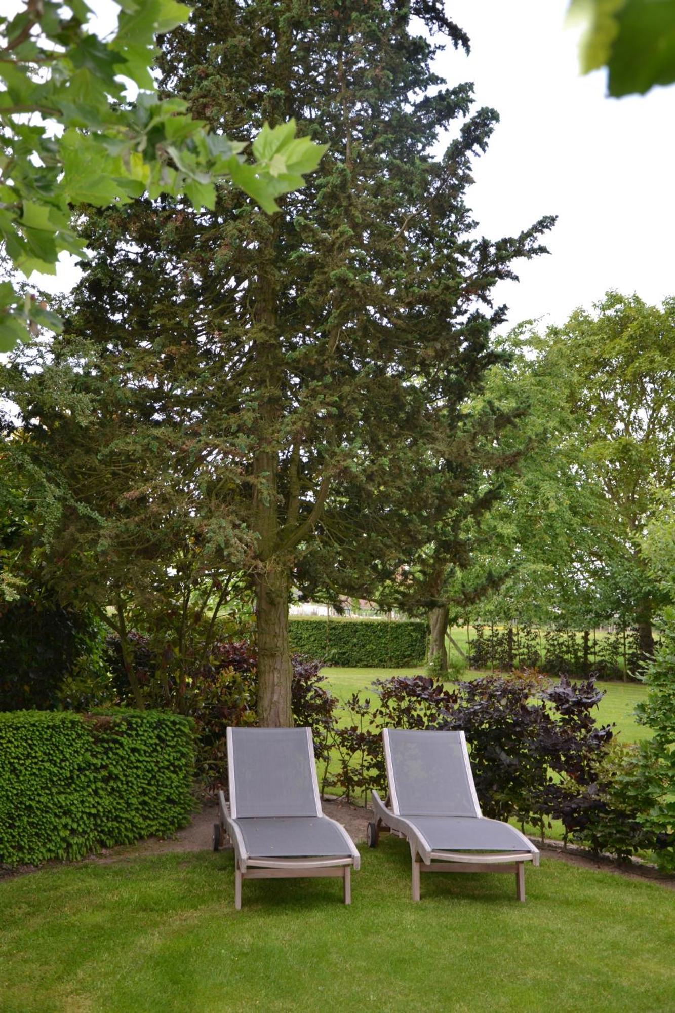 B&B Hof Te Spieringen Vollezele Esterno foto