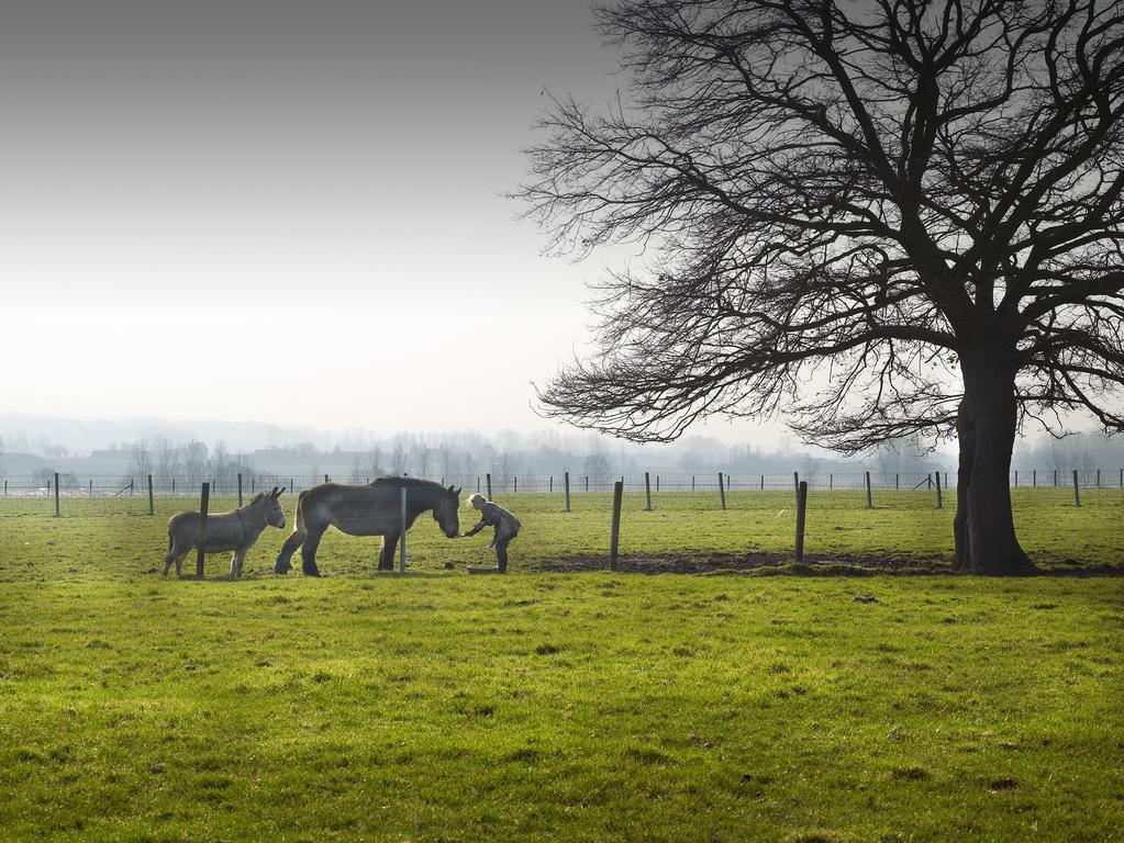 B&B Hof Te Spieringen Vollezele Esterno foto