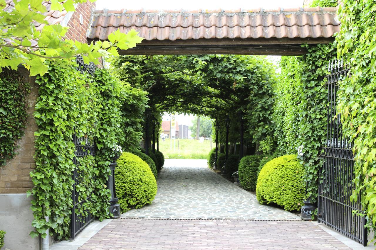 B&B Hof Te Spieringen Vollezele Esterno foto